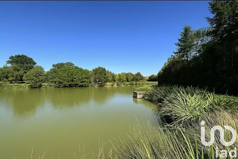 Étang de pêche de 1 ha à La Berthenoux — photo 2