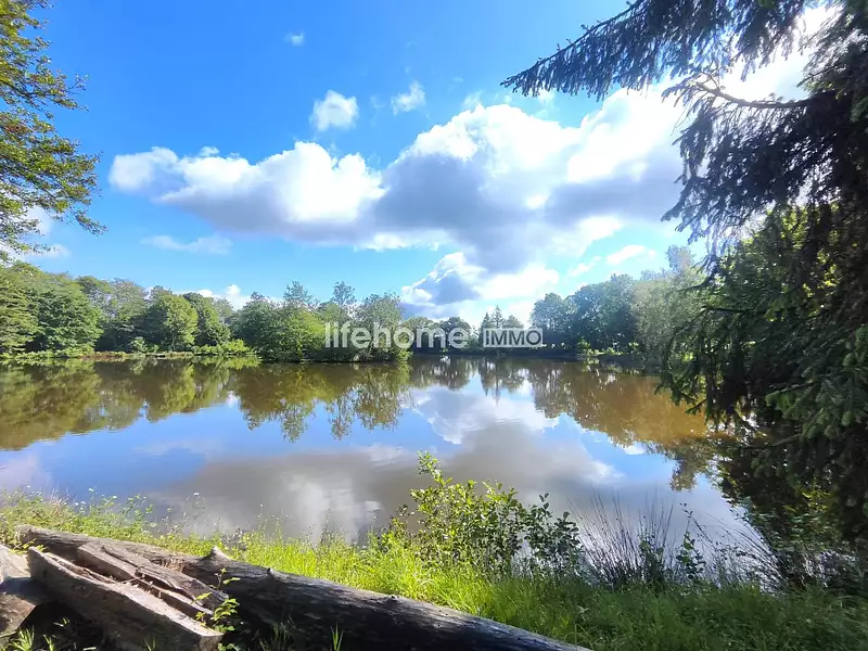 Étang de chasse de 1,2 ha à La Buxerette — photo 5