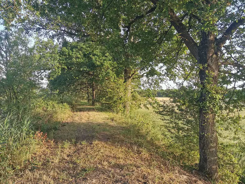 Étang de chasse de 3 ha à Saint-Julien-sur-Cher — photo 4