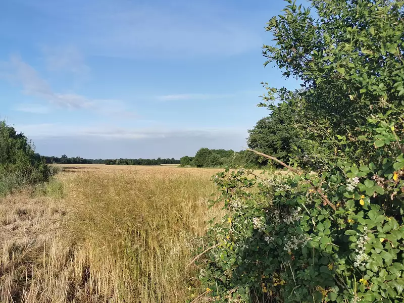Étang de chasse de 3 ha à Saint-Julien-sur-Cher — photo 3