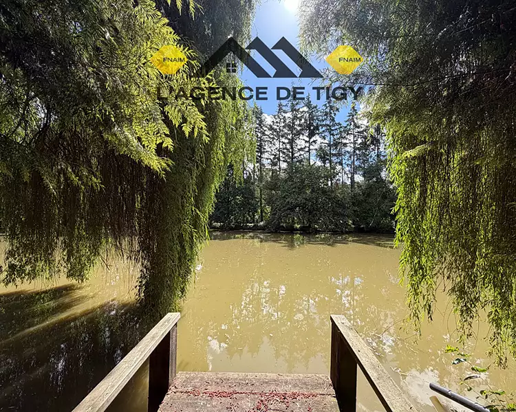 Étang de pêche à Neuvy-en-Sullias — photo 3