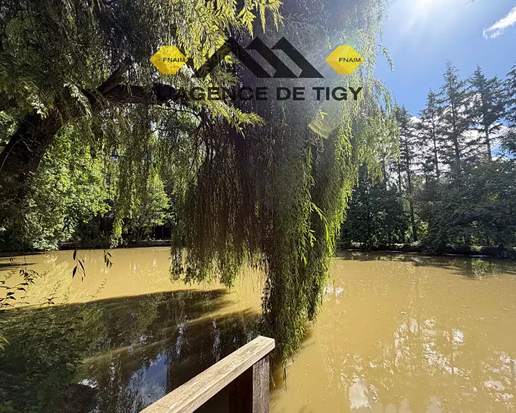 Étang de pêche à Neuvy-en-Sullias — photo 5