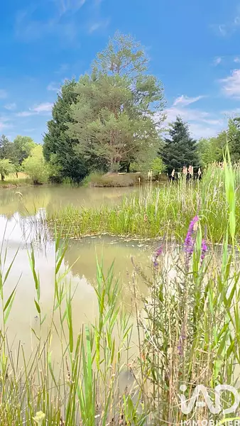 Fishing lake, 1,500 m² in the Loire Valley — photo 3