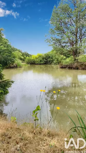 Fishing lake, 1,500 m² in the Loire Valley — photo 2