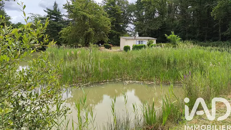 Étang de pêche à Tendu — photo 2