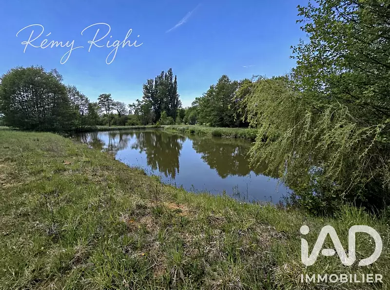 Fishing lake, 1000 m² with meadowland in the Loire Valley — photo 3