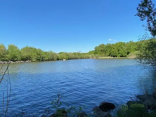 Étang d'agrément de 6 ha à Saint-Hilaire-les-Andrésis — photo 3