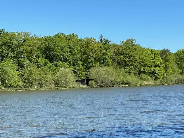 Étang d'agrément de 6 ha à Saint-Hilaire-les-Andrésis — photo 2