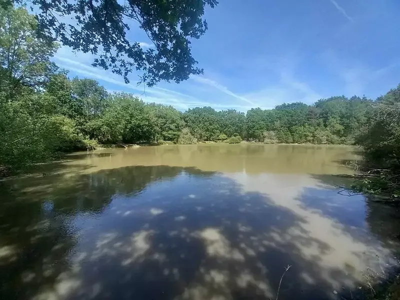 Étang de loisir à Langon Sur Cher (41)