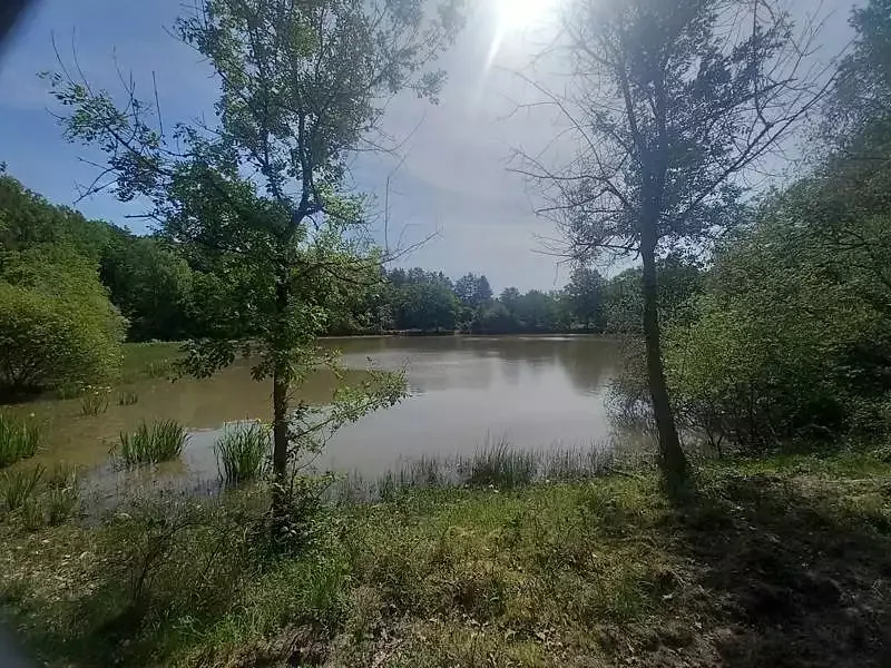 Étang de loisir à Langon Sur Cher (41) — photo 2