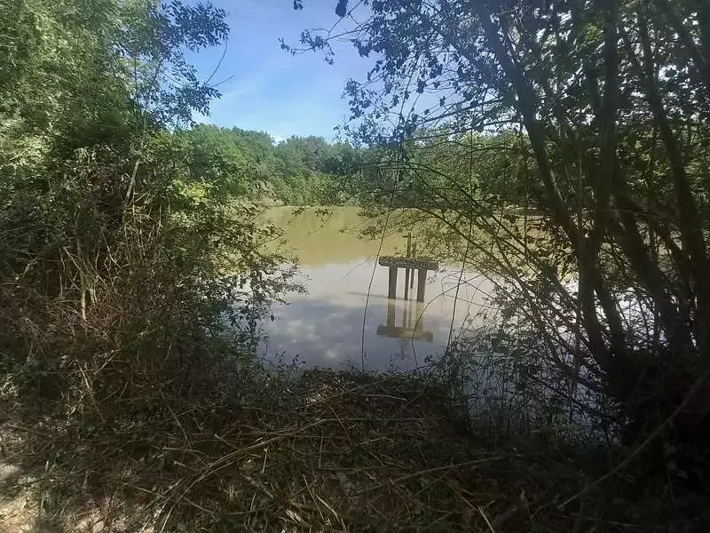 Étang de loisir à Langon Sur Cher (41) — photo 5