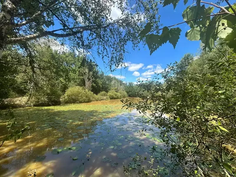 Étang de loisir à Cour Cheverny (41)