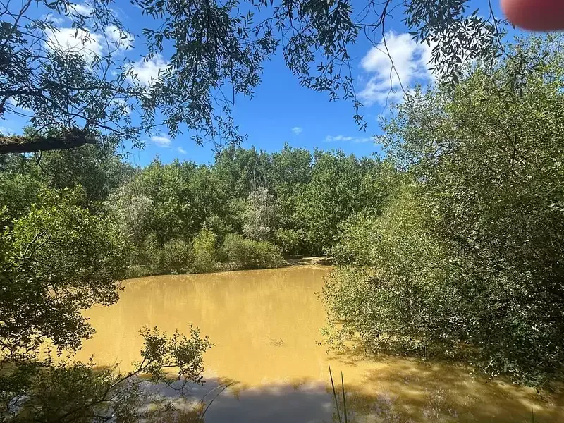 Étang de loisir à Cour Cheverny (41) — photo 4