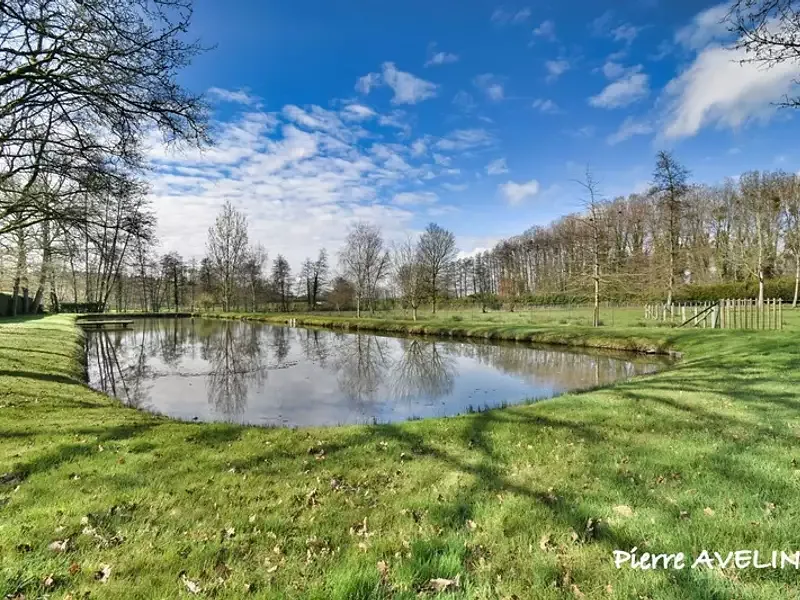 Étang de loisir à Argenvilliers (28)