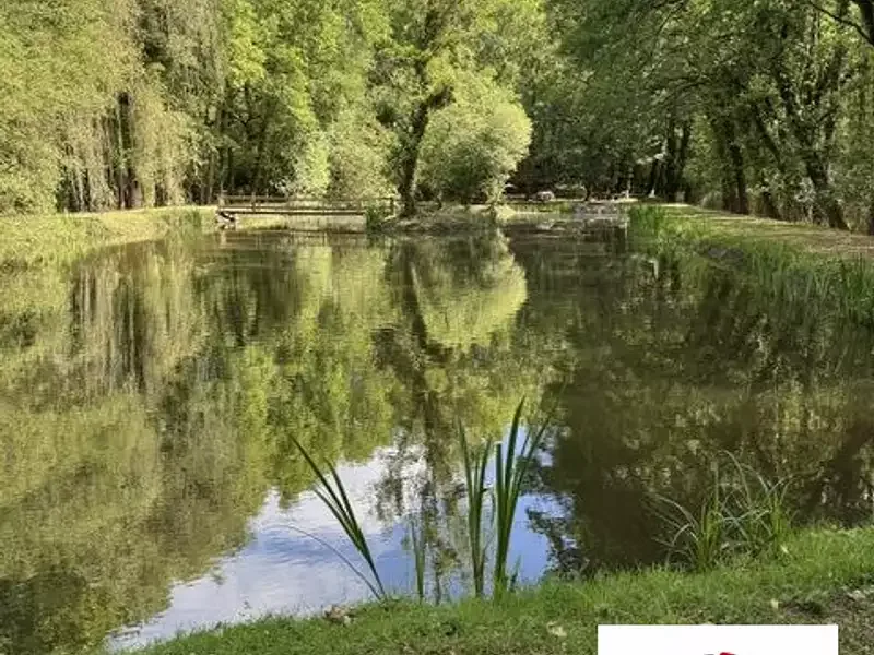 Étang de pêche à Les Bordes (45)