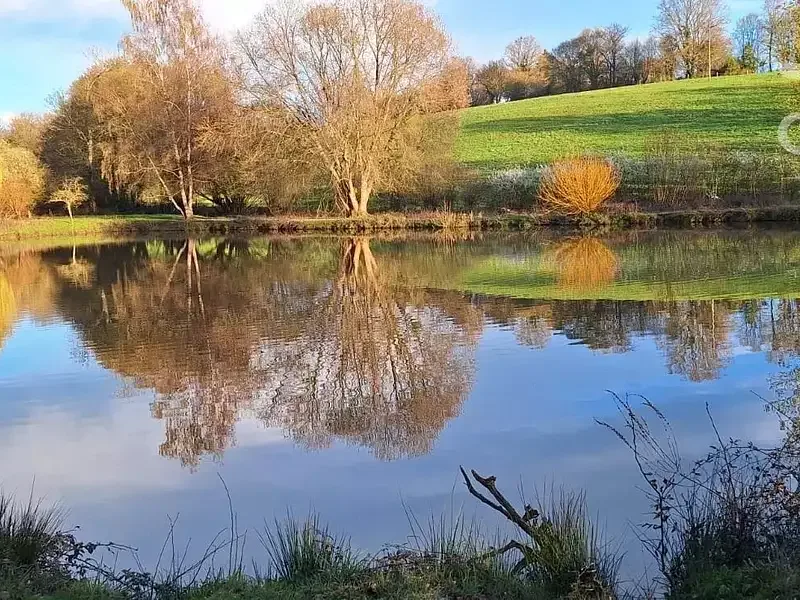 Étang de loisir à Boursay (41)