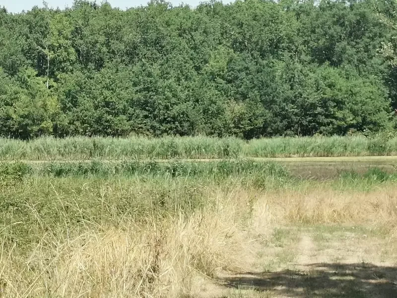 Étang de loisir à Millancay (41) — photo 2
