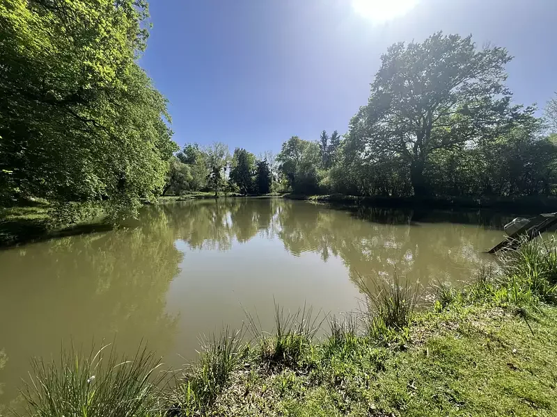 Étang de pêche à Feusines (36)