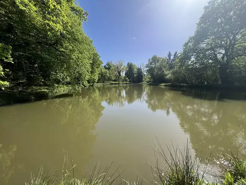 Étang de pêche à Feusines (36) — photo 3