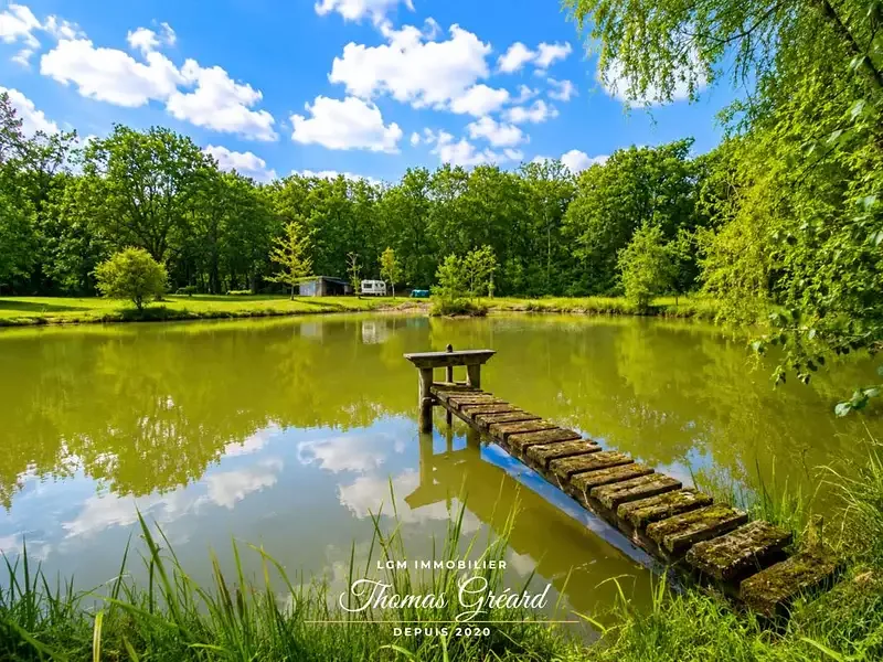 Étang de pêche à Romorantin Lanthenay (41)