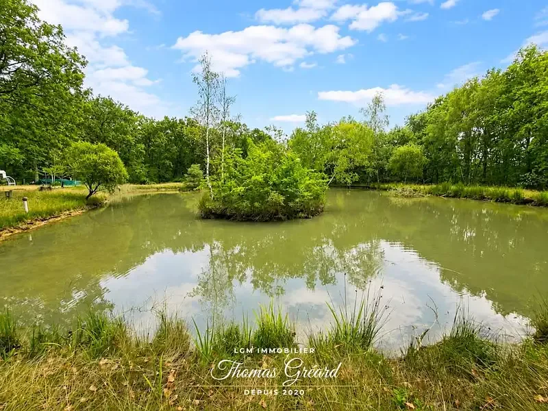 Étang de pêche à Romorantin Lanthenay (41) — photo 3