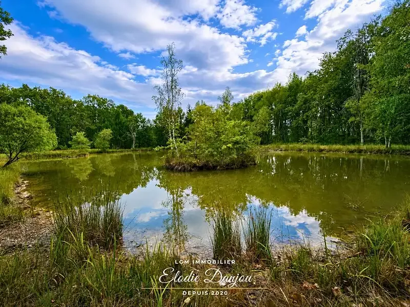 Étang de loisir à Mur De Sologne (41) — photo 2