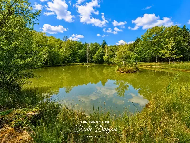 Étang de loisir à Mur De Sologne (41) — photo 3