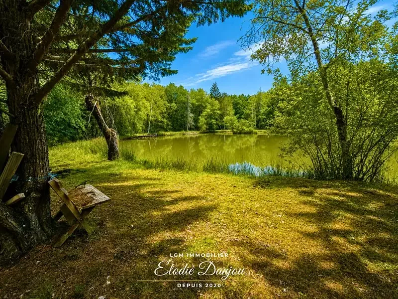 Étang de loisir à Mur De Sologne (41) — photo 4