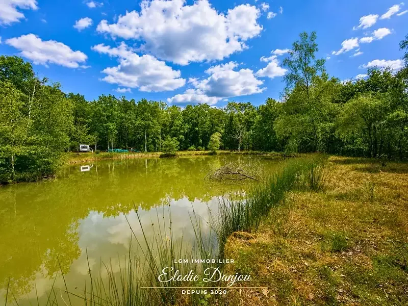 Étang de loisir à Mur De Sologne (41) — photo 5
