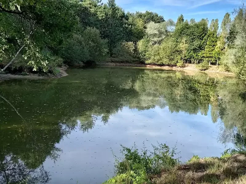 Étang de loisir à Sancoins (18) — photo 2