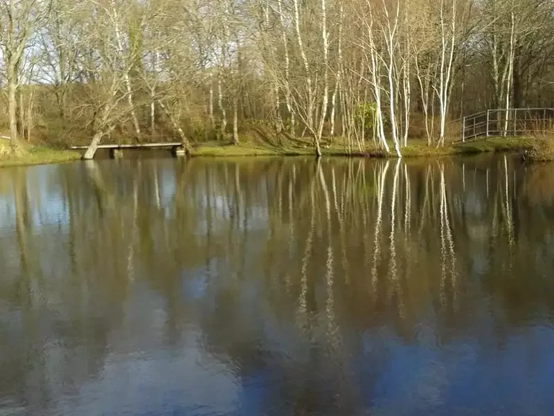 Étang de loisir à Sancoins (18) — photo 3
