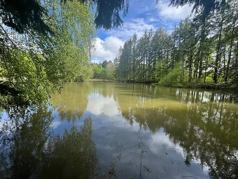 Étang de pêche de 2 ha à Coullons