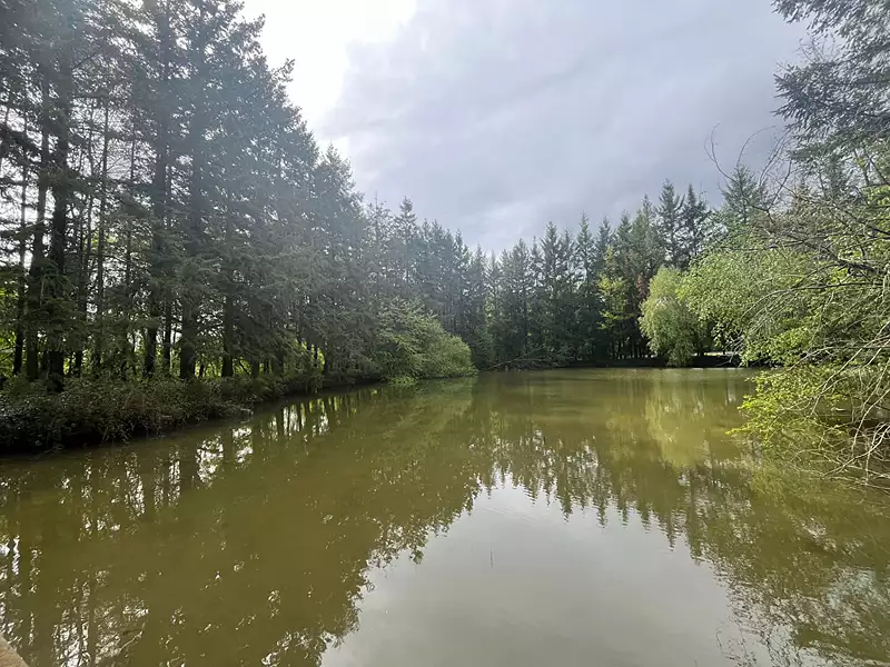 Étang de pêche de 2 ha à Coullons — photo 2