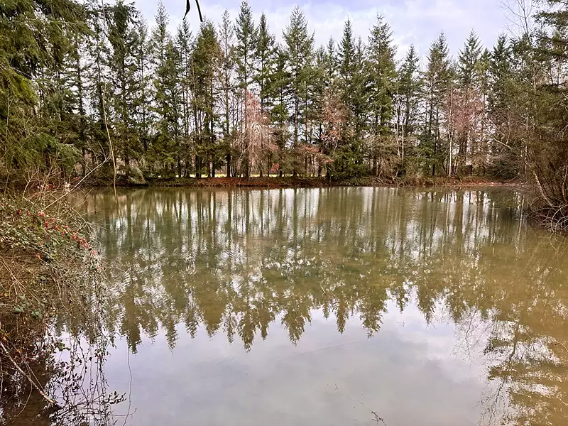 Étang de pêche de 2 ha à Coullons — photo 3