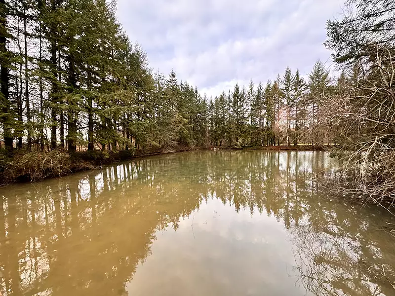 Étang de pêche de 2 ha à Coullons — photo 4