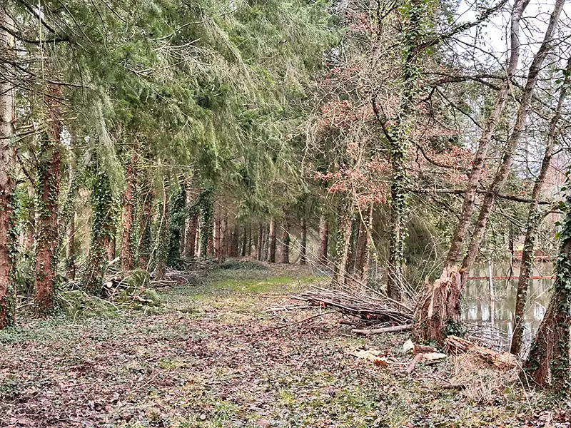 Leisure fishing lake, 2.3 ha in the Loire Valley — photo 5