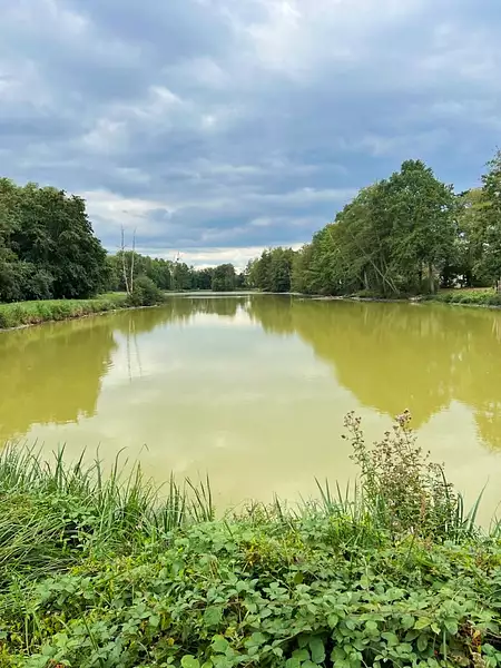 Étang de pêche à Sully-sur-Loire