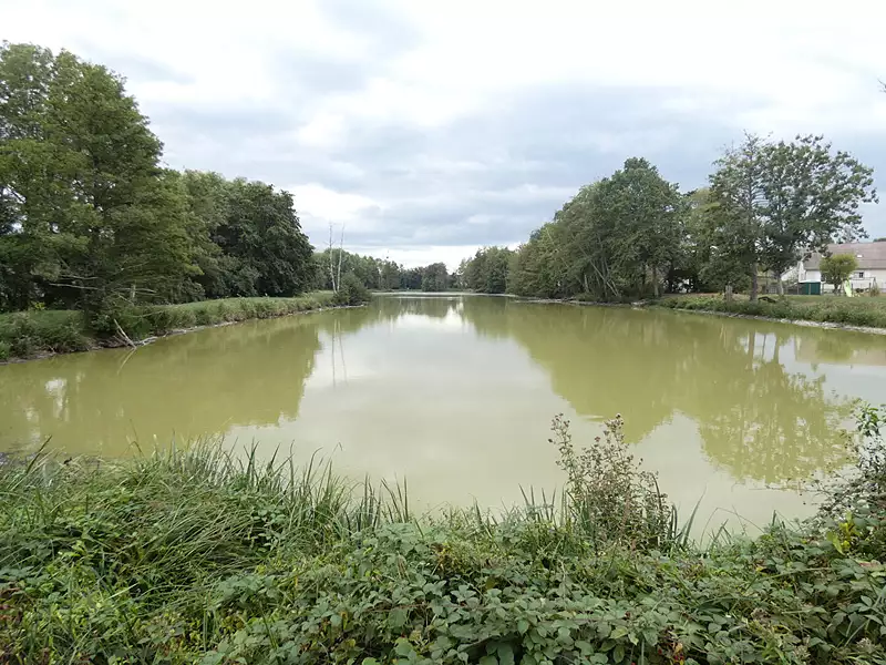 Étang de pêche à Sully-sur-Loire — photo 3