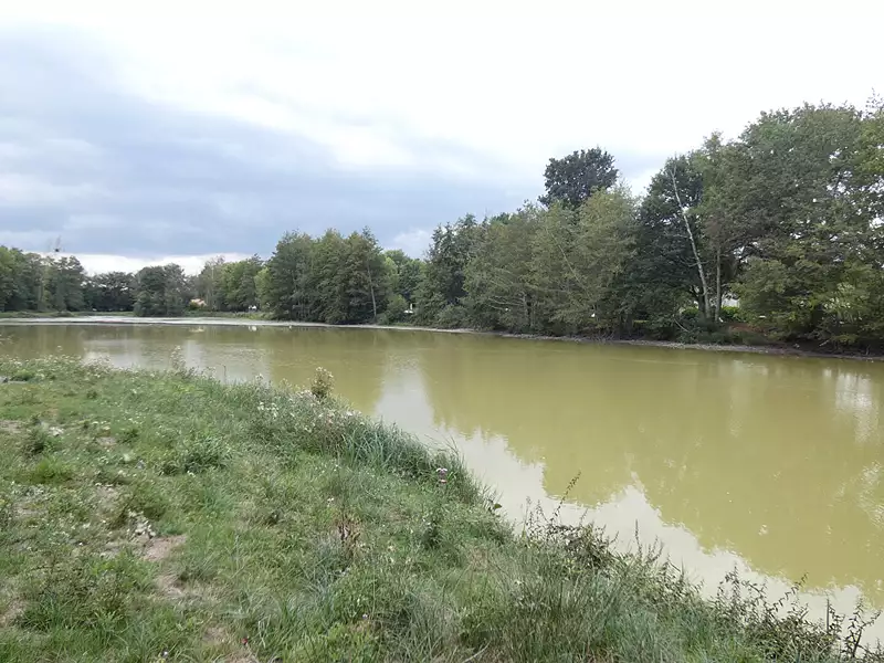 Étang de pêche à Sully-sur-Loire — photo 2