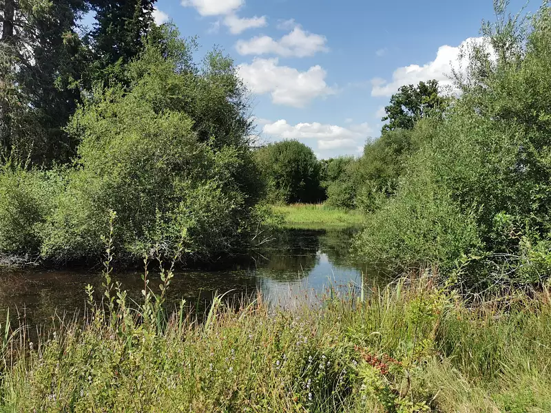 Étang d'agrément à Romorantin-Lanthenay — photo 2