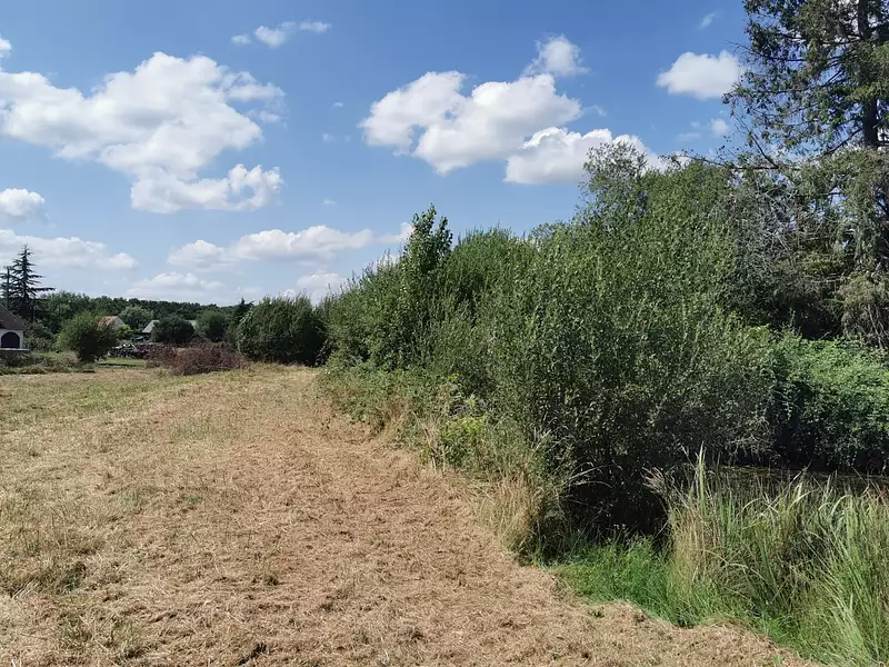 Étang d'agrément à Romorantin-Lanthenay — photo 3