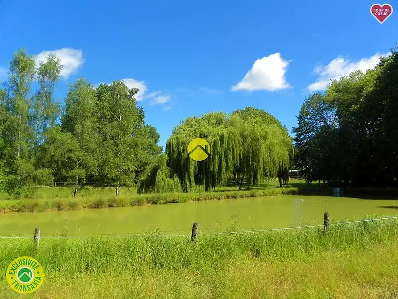 Étang de pêche à Savigny-en-Sancerre