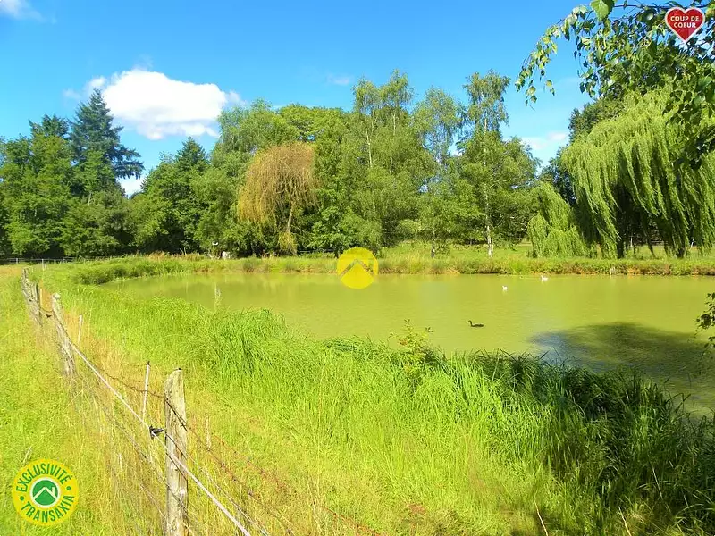 Étang de pêche à Savigny-en-Sancerre — photo 2