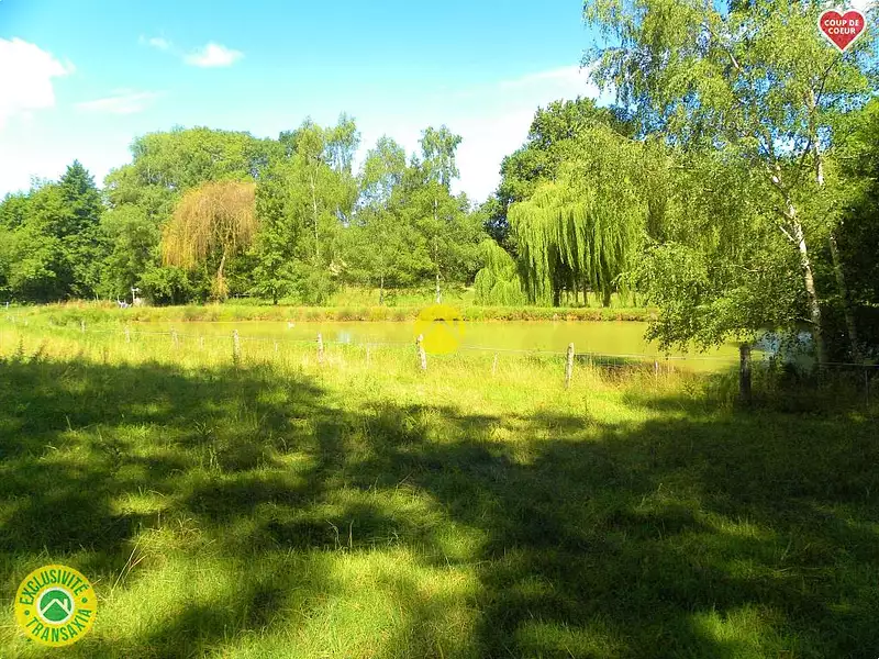 Étang de pêche à Savigny-en-Sancerre — photo 3