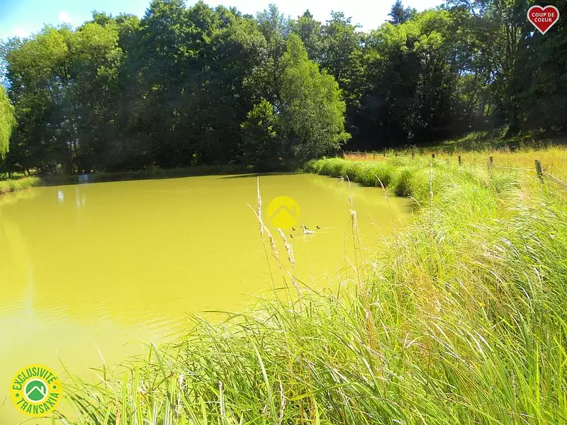 Étang de pêche à Savigny-en-Sancerre — photo 3