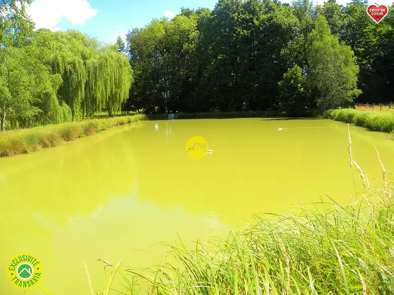 Étang de pêche à Savigny-en-Sancerre — photo 4