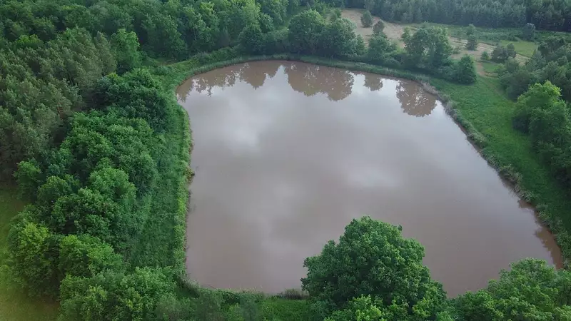 Étang de chasse de 1,2 ha à Mur-de-Sologne
