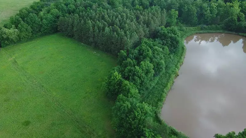 Étang de chasse de 1,2 ha à Mur-de-Sologne — photo 2