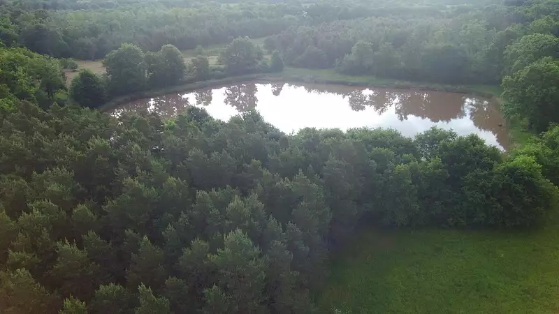 Étang de chasse de 1,2 ha à Mur-de-Sologne — photo 3