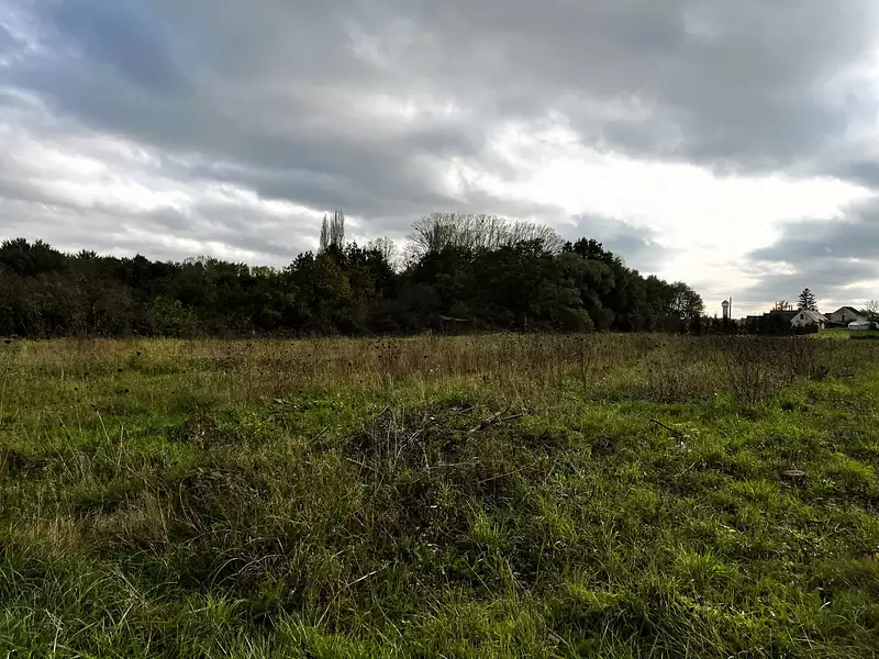 Étang d'agrément à Saint-Benoît-sur-Loire — photo 3